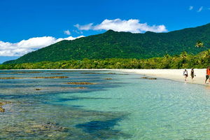 8-Day Cairns Tour: Great Barrier Reef, Kuranda, Daintree Rainforest