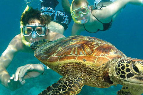 8-Day Cairns Tour: Great Barrier Reef, Kuranda, Daintree Rainforest - Whitsundays Accommodation 1