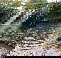 Paronella Park and Millaa Millaa Falls Full-day Tour from Cairns - Whitsundays Accommodation