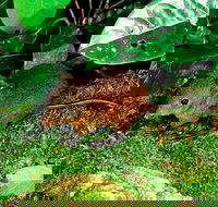 3-Day Small-Group Tour of North Queensland with Pick Up - Whitsundays Accommodation