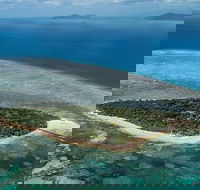 4-Day Cairns with Great Barrier Reef and Daintree Rainforest - Whitsundays Accommodation