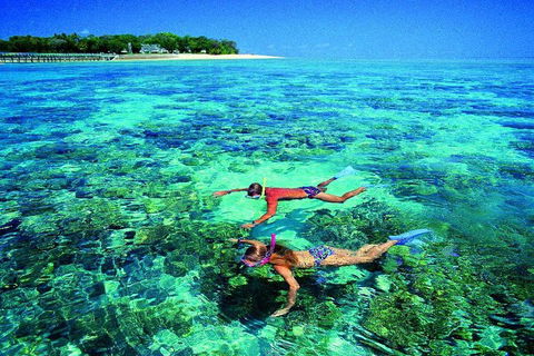 4-Day Cairns With Great Barrier Reef And Daintree Rainforest - Whitsundays Accommodation 2