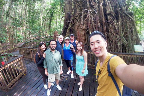 Cairns National Park Rainforest And Waterfall Small Group Tour Shore Excursion - Whitsundays Accommodation 2