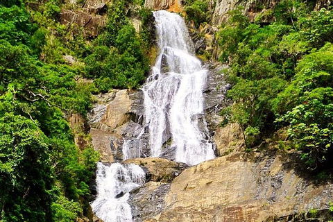Cairns National Park Rainforest And Waterfall Small Group Tour Shore Excursion - Whitsundays Accommodation 4
