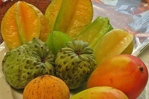 Cairns National Park Rainforest And Waterfall Small Group Tour Shore Excursion - Whitsundays Accommodation 5