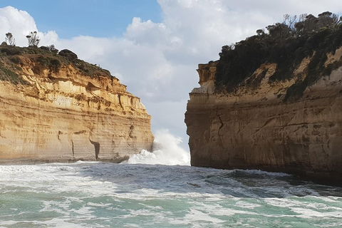 12 Apostles Tour From Warrnambool - Whitsundays Accommodation 2