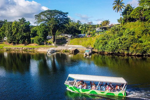 Afternoon Half-Day Daintree Rainforest And River Tour - Whitsundays Accommodation 1