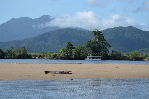 Afternoon Half-Day Daintree Rainforest And River Tour - Whitsundays Accommodation 2