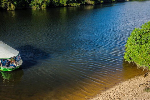 Afternoon Half-Day Daintree Rainforest And River Tour - Whitsundays Accommodation 3
