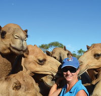 Broome Pre-sunset Camel Tour 30 minutes - Whitsundays Accommodation