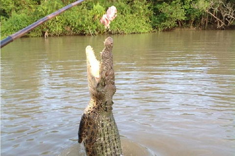 Litchfield National Park And Jumping Crocodile Cruise - Whitsundays Accommodation 2
