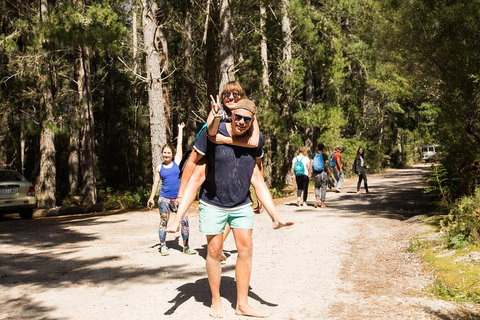 7-Day Best Of Tasmania Adventure Experience From Hobart (flexible Ticket) - Whitsundays Accommodation 5