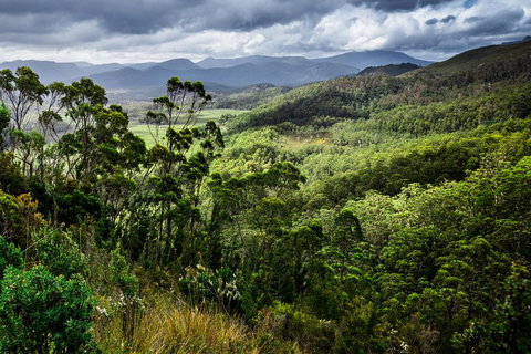 5-Day Lap Of Tasmania Tour From Hobart (flexible Ticket) - Whitsundays Accommodation 2