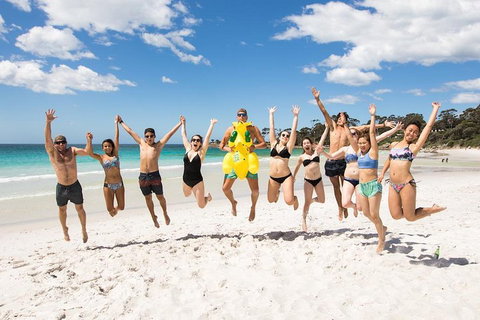 5-Day Lap Of Tasmania Tour From Hobart (flexible Ticket) - Whitsundays Accommodation 4