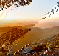O'Reilly's  Lamington National Park incl. Alpaca Farm  Vineyard - Whitsundays Accommodation