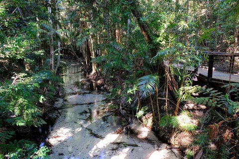 Fraser Island 4WD Tour From Rainbow Beach - Whitsundays Accommodation 0