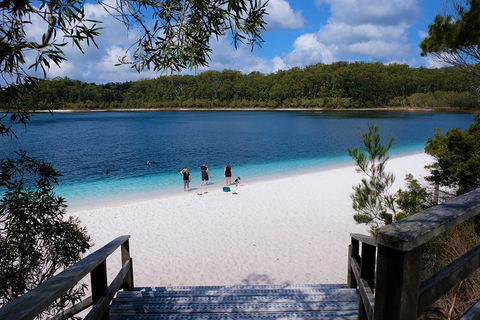 Fraser Island 4WD Tour From Rainbow Beach - Whitsundays Accommodation 3