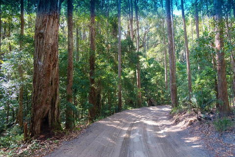 Fraser Island 4WD Tour From Rainbow Beach - Whitsundays Accommodation 4