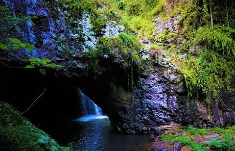 Rainforest & Waterfalls Extravaganza - Whitsundays Accommodation 5