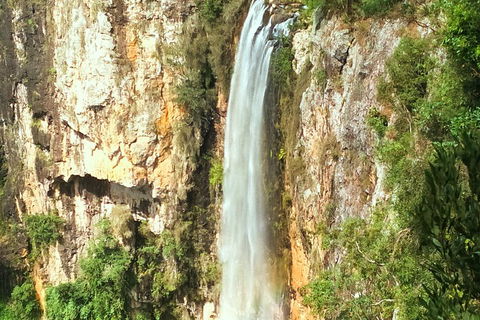Natural Arch, Rainforest & Volcano Canyon - Private Half Day Tour - Whitsundays Accommodation 2