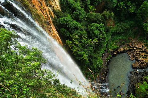 Natural Arch, Rainforest & Volcano Canyon - Private Half Day Tour - Whitsundays Accommodation 5