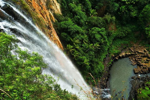 Private Tour - Rainforest & Waterfalls Extravaganza - Whitsundays Accommodation 2