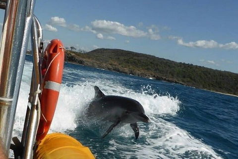 Noosa Oceanrider - Adventure Tour - Whitsundays Accommodation 1