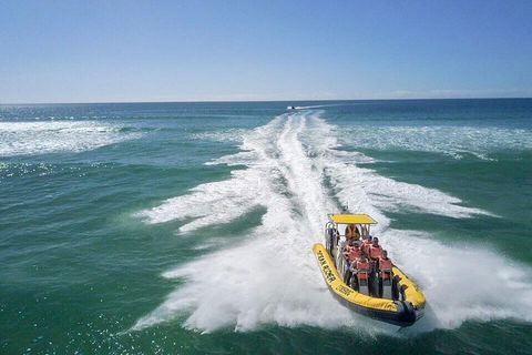Noosa Oceanrider - Adventure Tour - Whitsundays Accommodation 2