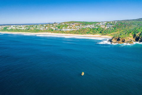 Noosa Oceanrider - Adventure Tour - Whitsundays Accommodation 3