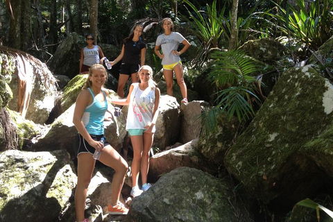 Byron Bay Hinterland Tour Including Rainforest Walk To Minyon Falls - Whitsundays Accommodation 3