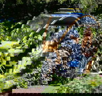Adelaide 90-Minute Pedicab Tour Scenic Green  River Experience - Whitsundays Accommodation