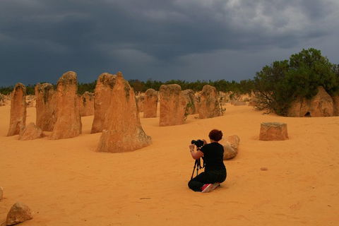 The Pinnacles, Sea And Dunescapes, Bush Reserve And Sunset Day Tour - Whitsundays Accommodation 2