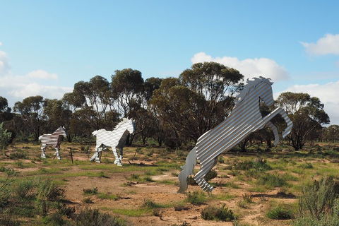 Wave Rock, Wild Flowers And Astro Photography - Whitsundays Accommodation 5