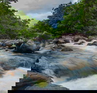 Cape Tribulation Day Tour - Whitsundays Accommodation