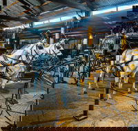 Historic Village Herberton Family Pass 2A2C - Whitsundays Accommodation