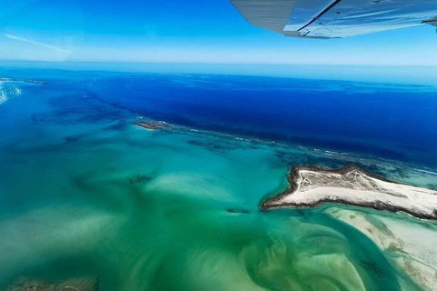 Wet Season Incredible Islands Tour - Horizontal Falls & Cygnet Bay Pearl Farm - Whitsundays Accommodation 4