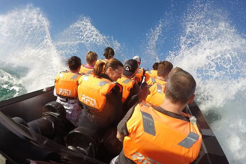 Noosa Thriller - 500hp Ocean Adventure Ride - Whitsundays Accommodation 4