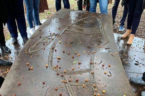 Illi-Langi The Rocks Aboriginal Dreaming Tour - Whitsundays Accommodation 4