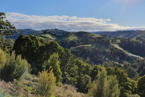 3-Day Adelaide To Melbourne Tour Including The Great Ocean Road - Whitsundays Accommodation 5