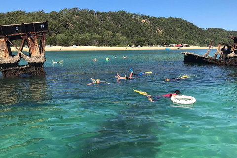 All Inclusive Dolphin And Tangalooma Wrecks Cruise - Whitsundays Accommodation 0