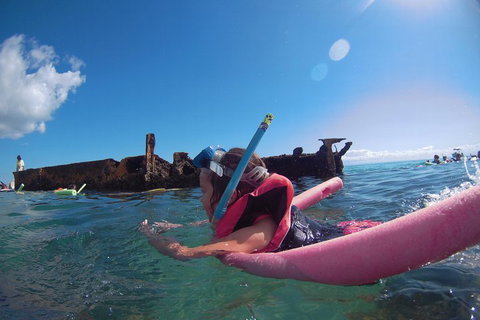 All Inclusive Dolphin And Tangalooma Wrecks Cruise - Whitsundays Accommodation 2