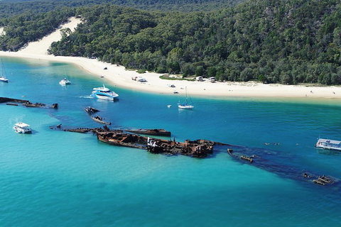 All Inclusive Dolphin And Tangalooma Wrecks Cruise - Whitsundays Accommodation 4