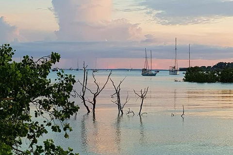 Tropical Light Sundowner Cruise With Drinks Included - Whitsundays Accommodation 2