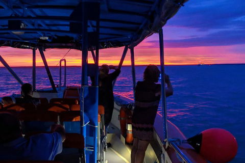 Tropical Light Sundowner Cruise With Drinks Included - Whitsundays Accommodation 5