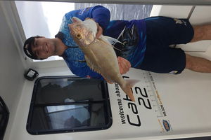 3/4 Day 7 Hour Offshore Fishing Charter