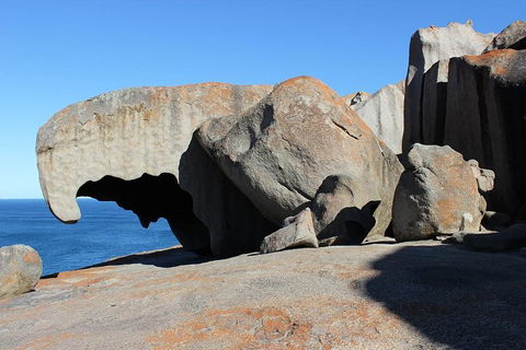 Kangaroo Island Personal Group Tours - Whitsundays Accommodation 2