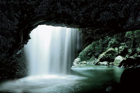 Natural Bridge Glow Worm Night Tour From Gold Coast - Whitsundays Accommodation 0