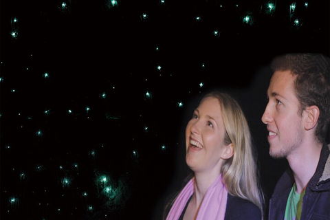Natural Bridge Glow Worm Night Tour From Gold Coast - Whitsundays Accommodation 3