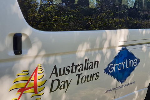 Natural Bridge Glow Worm Night Tour From Gold Coast - Whitsundays Accommodation 5