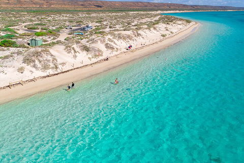 Ningaloo In A Day - Full Day Hike And Snorkel Tour With Lunch - Whitsundays Accommodation 0